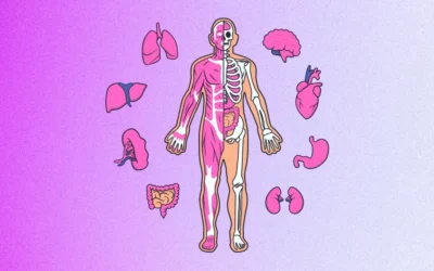 Les fréquences des organes du corps