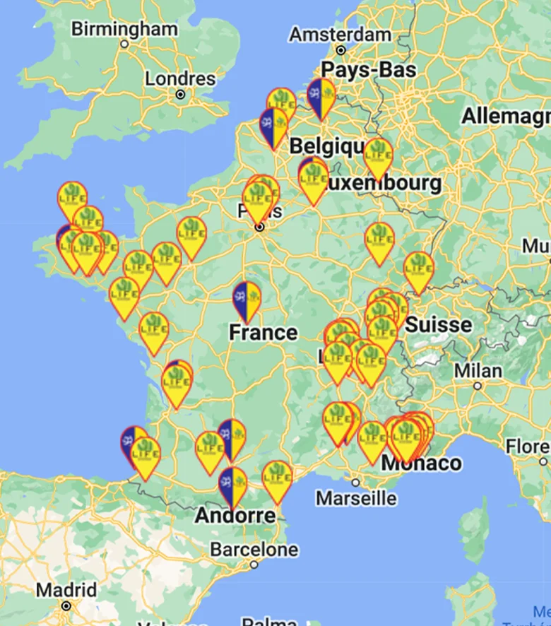 Carte-professionnel-bioresonance-biofeedback