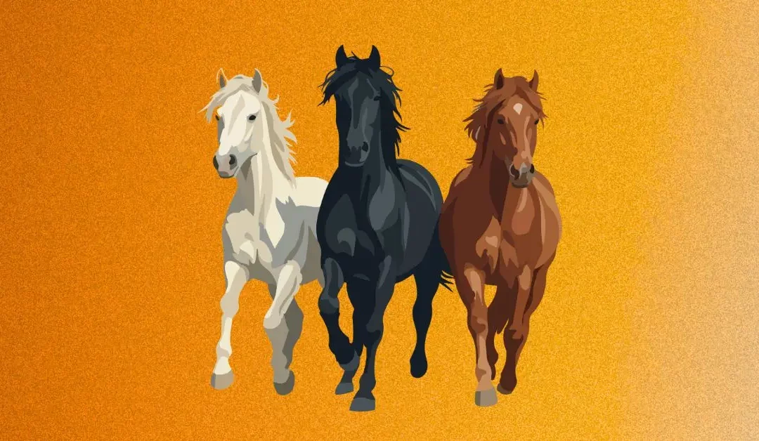 Biorésonance et chevaux : comprendre les déséquilibres invisibles pour mieux soigner naturellement