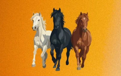 Biorésonance et chevaux : comprendre les déséquilibres invisibles pour mieux soigner naturellement